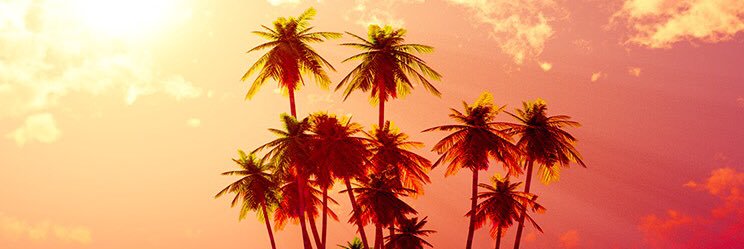 Choounah's profile banner image