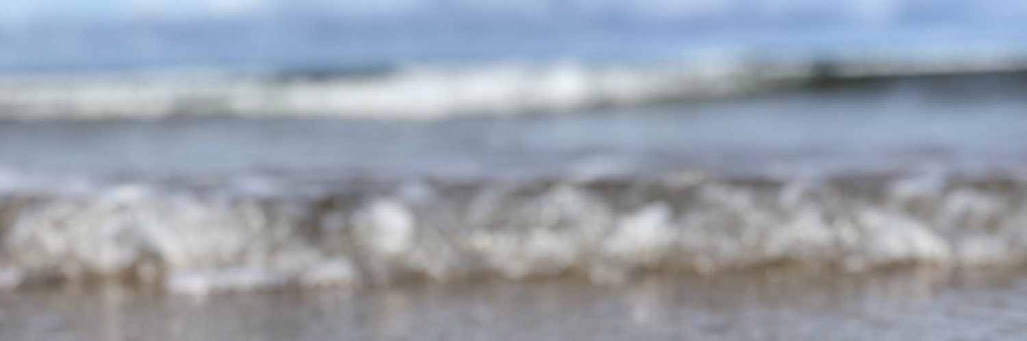 MonkeyD50199158's profile banner image