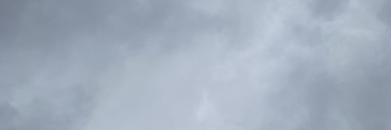 ありあちゃん banner