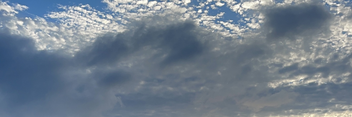 marimonty_'s profile banner image
