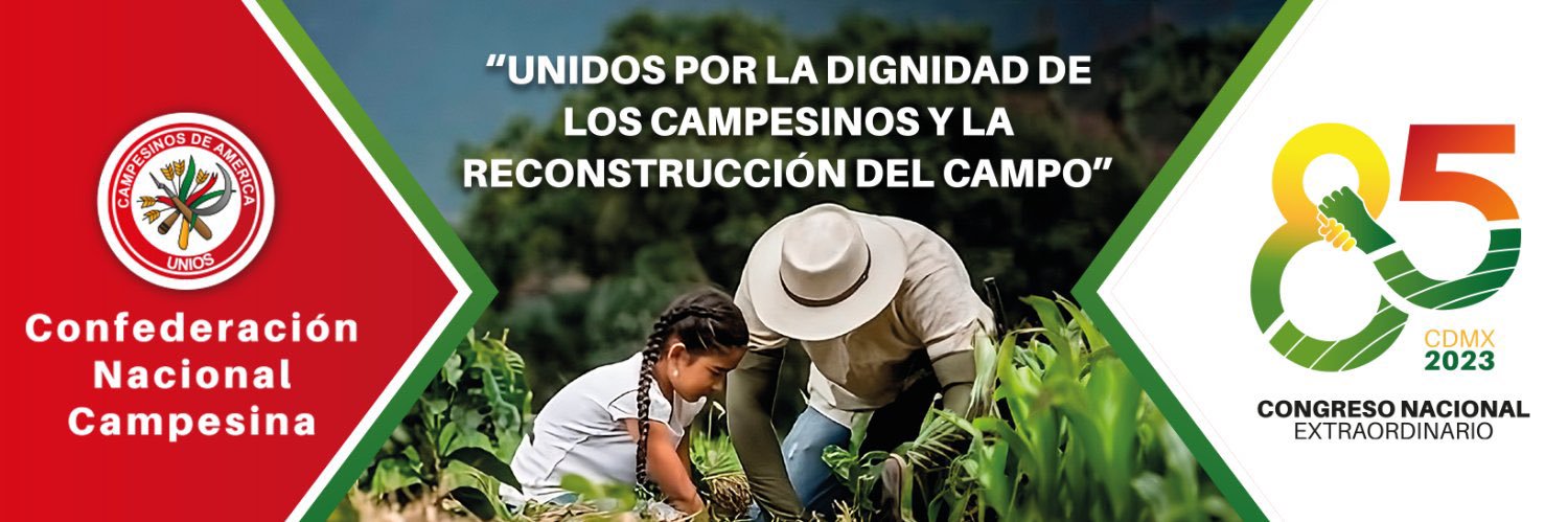 Luis J. Martin Lopez.'. banner
