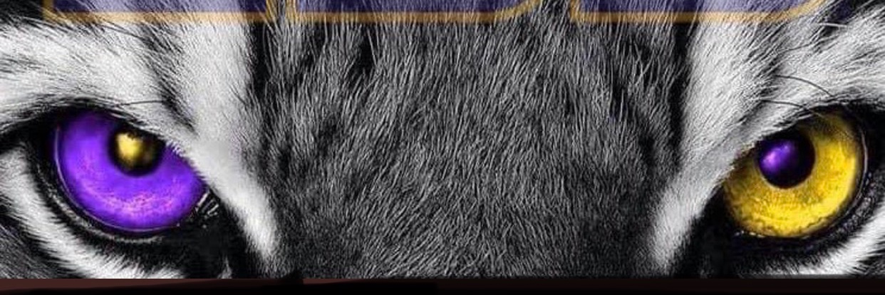 Shayne ❤️🇺🇸 banner