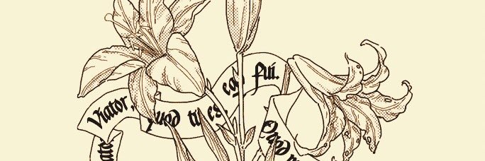泪湖的Acharis's banner