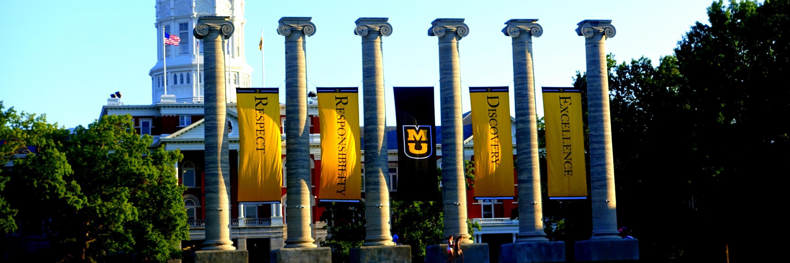 Mizzou Academy banner