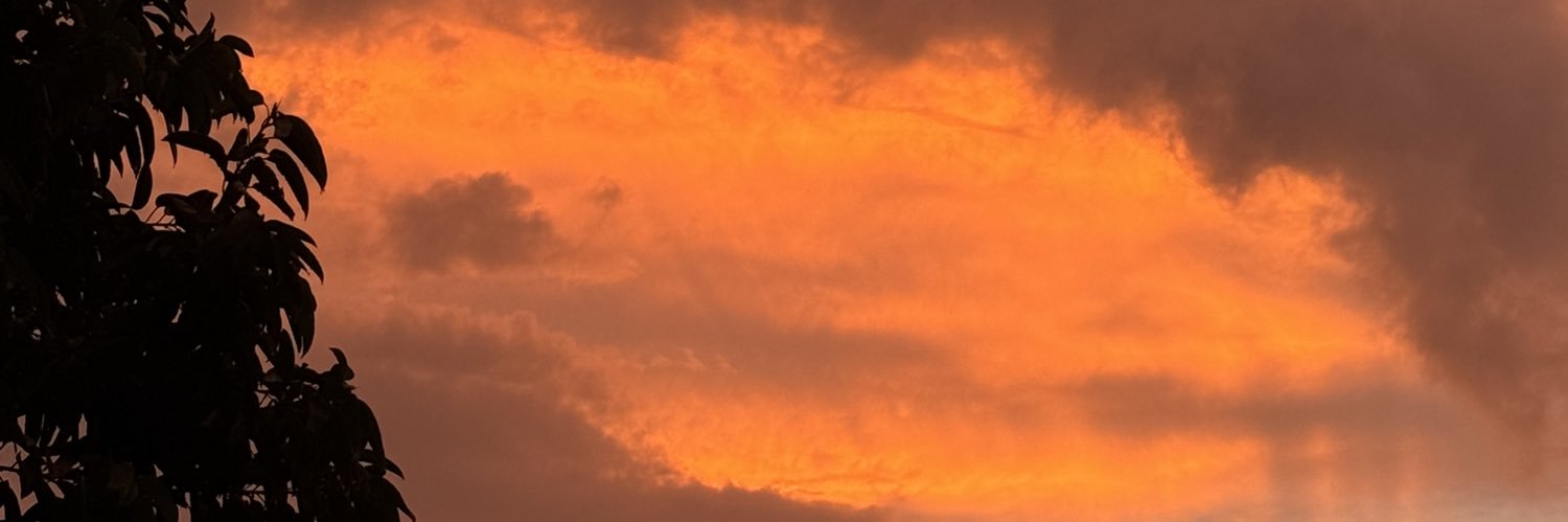 notfishNchips's profile banner image