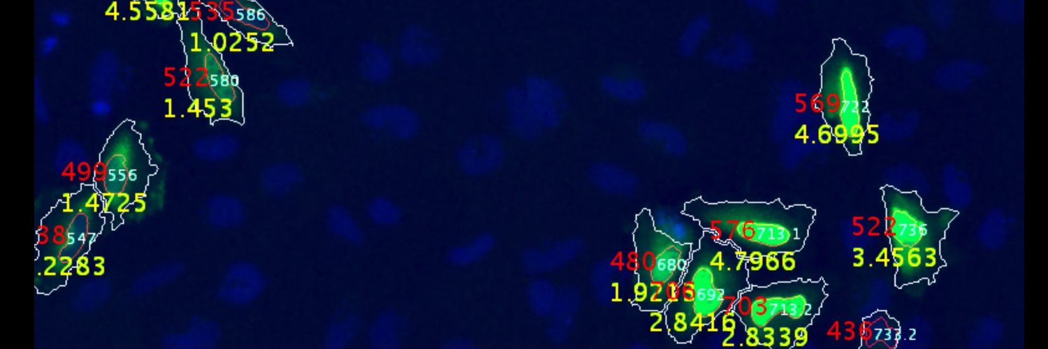 Fore Biotherapeutics's banner