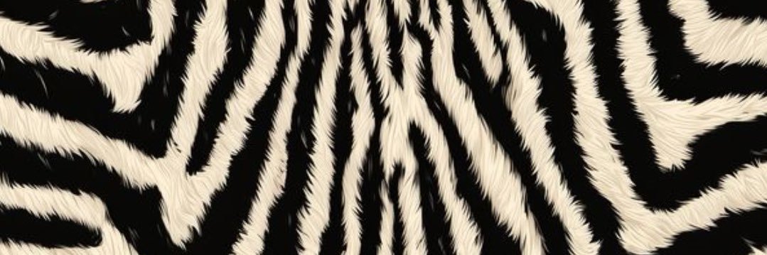 kelliwilhoit's profile banner image