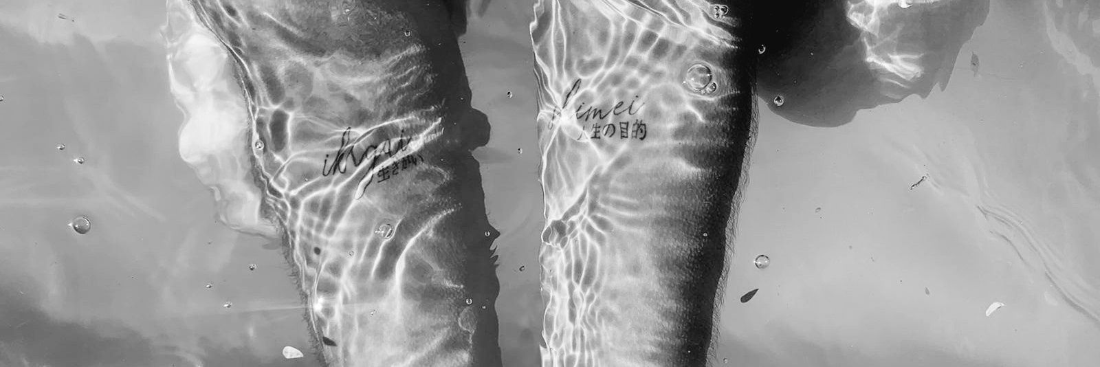 GreciaQuintero_'s profile banner image