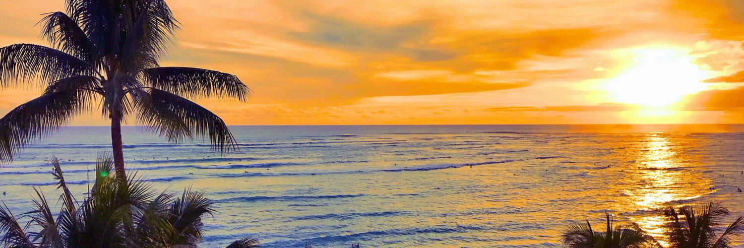 Timie profile banner