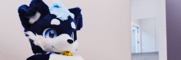 shiyexingbei Profile Banner