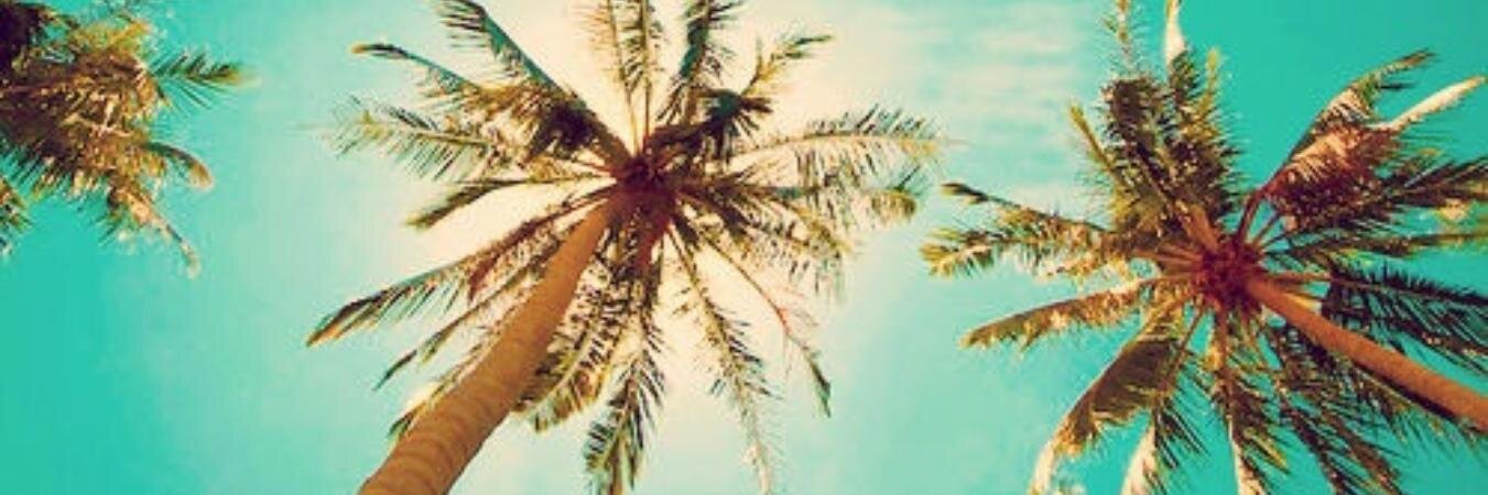 Alanna_Bailey's profile banner image