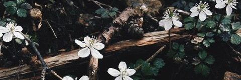 xchouw's profile banner image