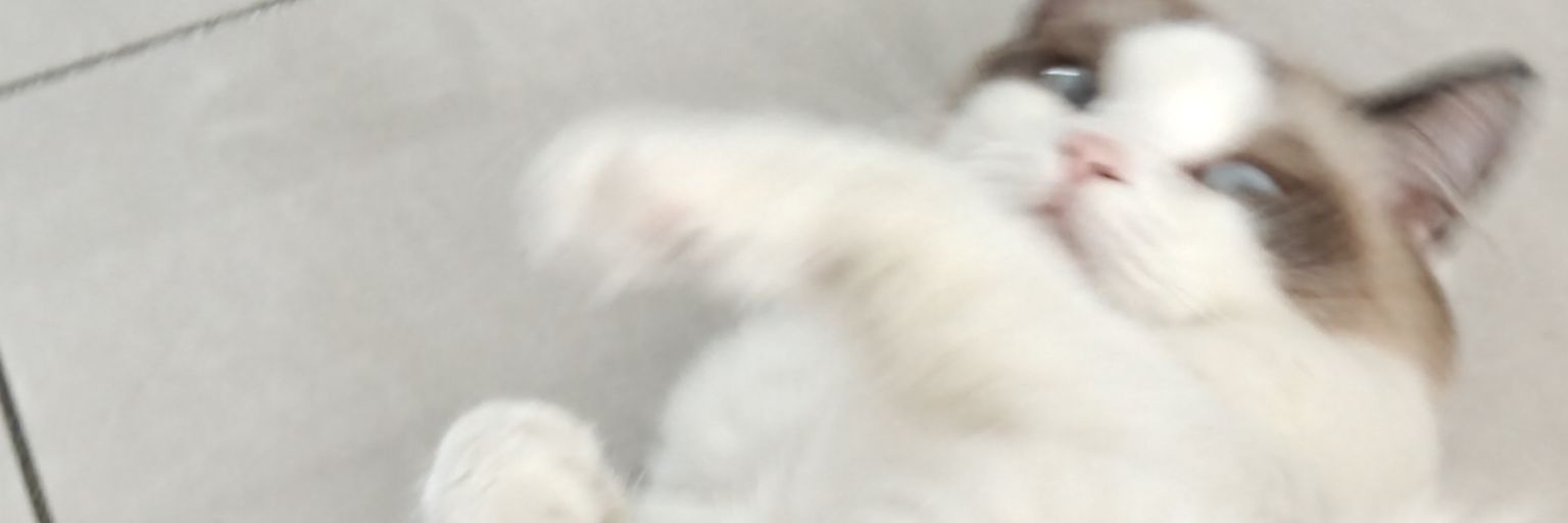 feng77feng77's profile banner image
