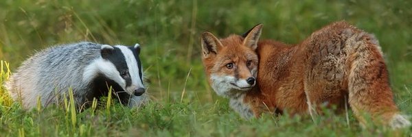OnlyAsking3 Profile Banner