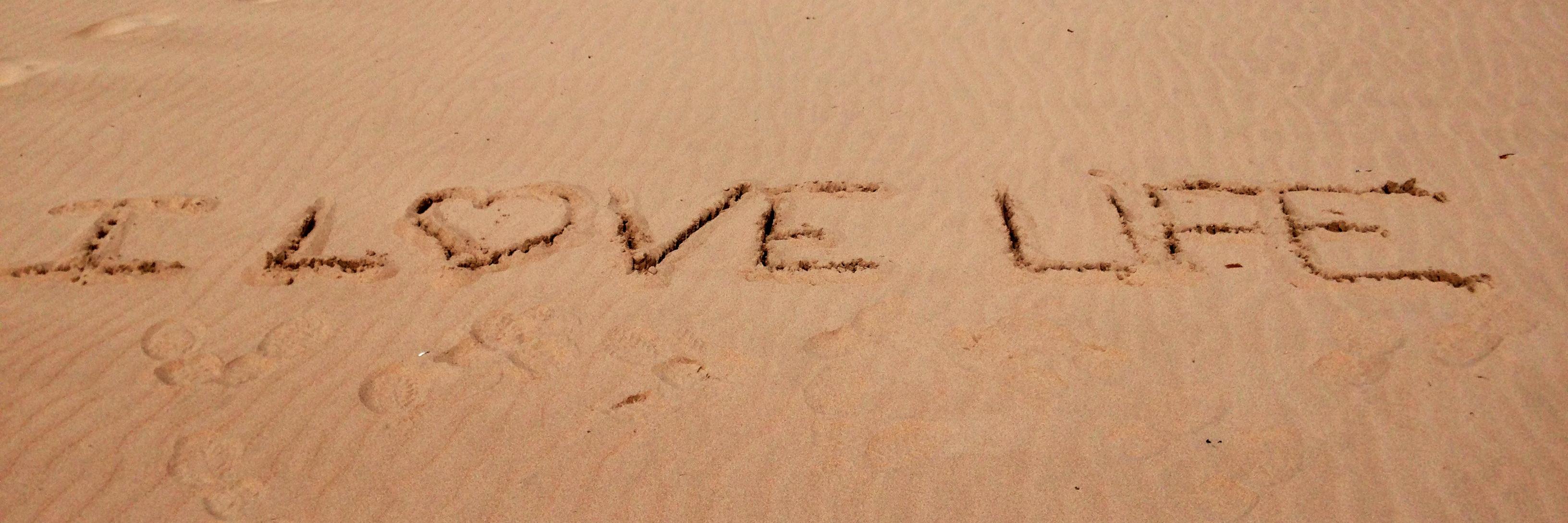 evacastells's profile banner image