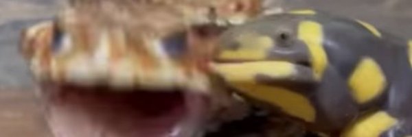 ScumbagYung Profile Banner