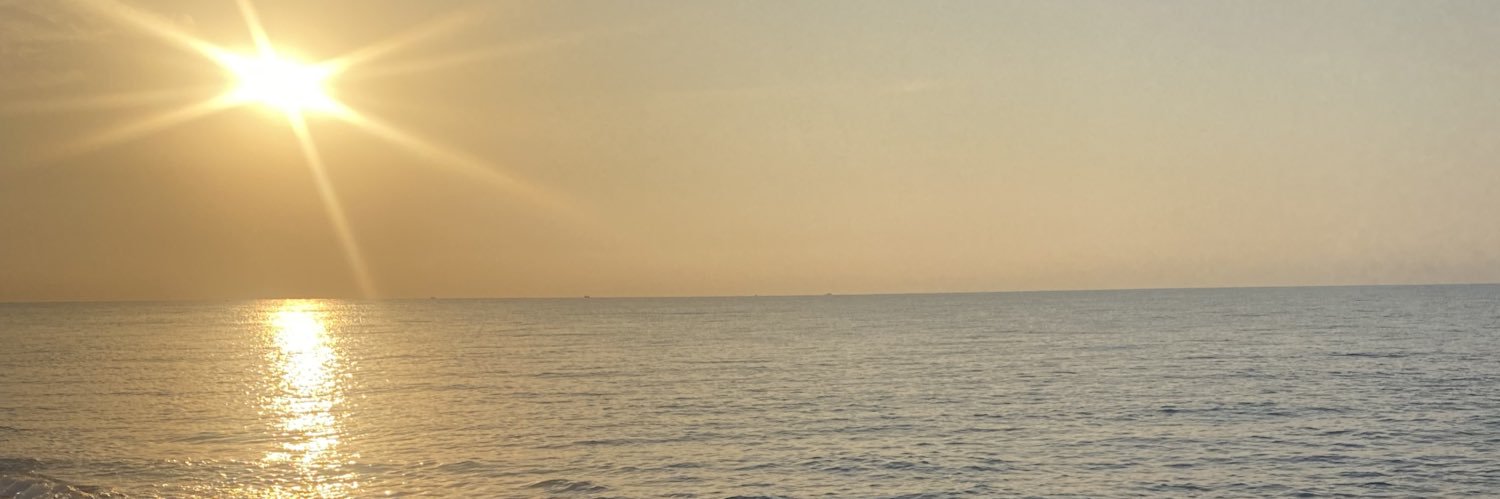 elifaar's profile banner image