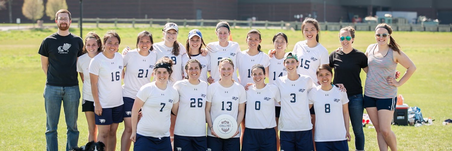 falconsultimate's profile banner image