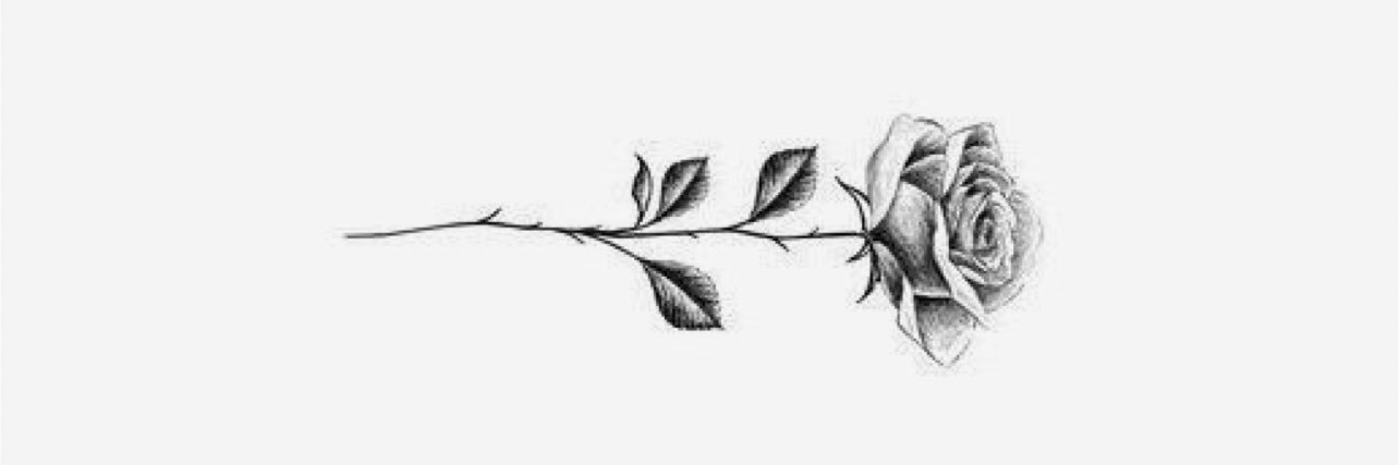 AnnaLKnights's profile banner image