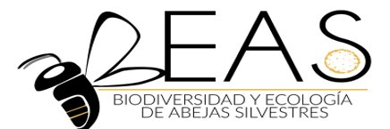 beaslab banner