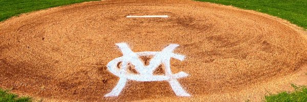 BaseballMC Profile Banner