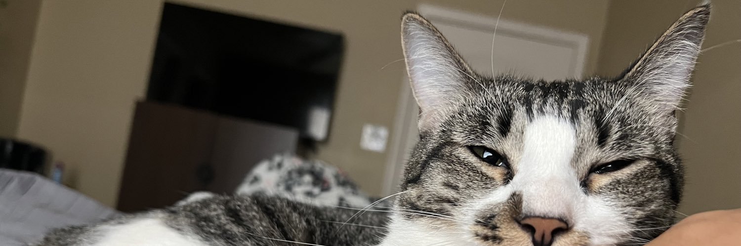 macyleigh2's profile banner image