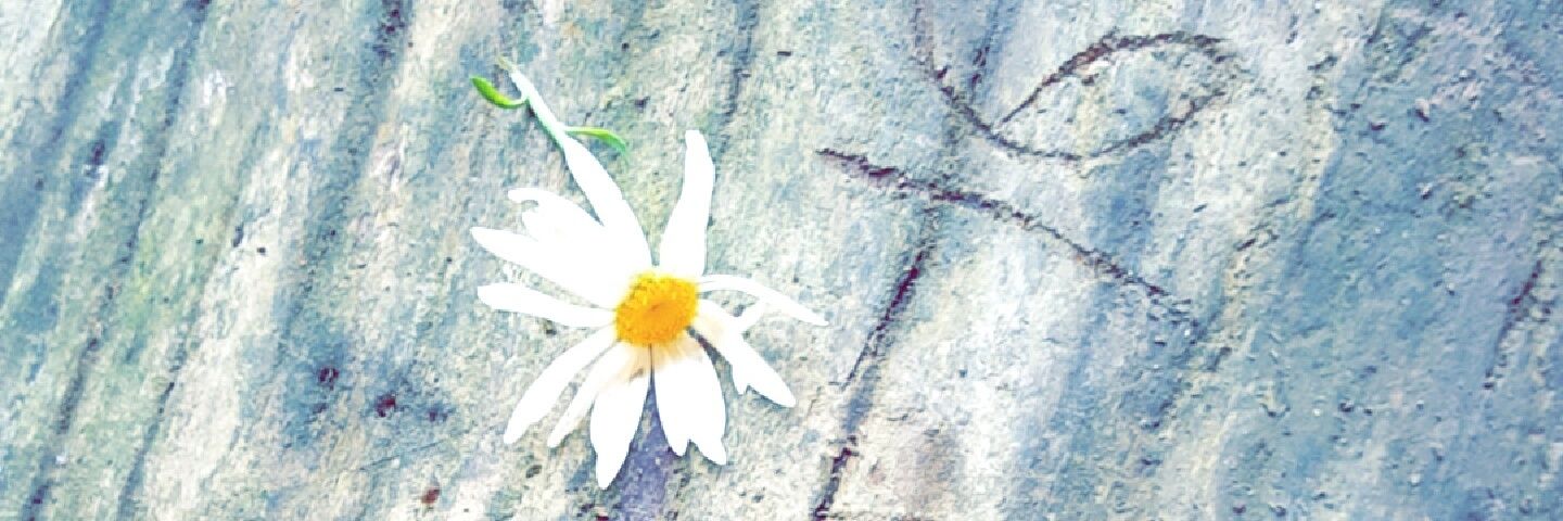 blonde_1996's profile banner image