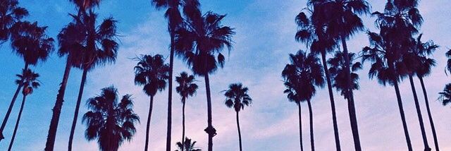1__DAN's profile banner image