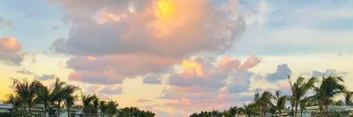 npquy92's profile banner image