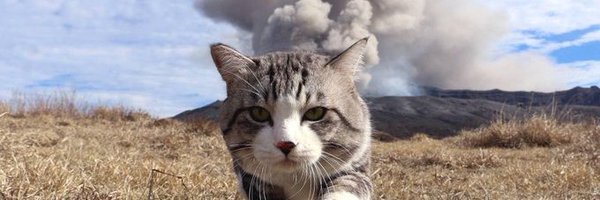 caveunderscore Profile Banner