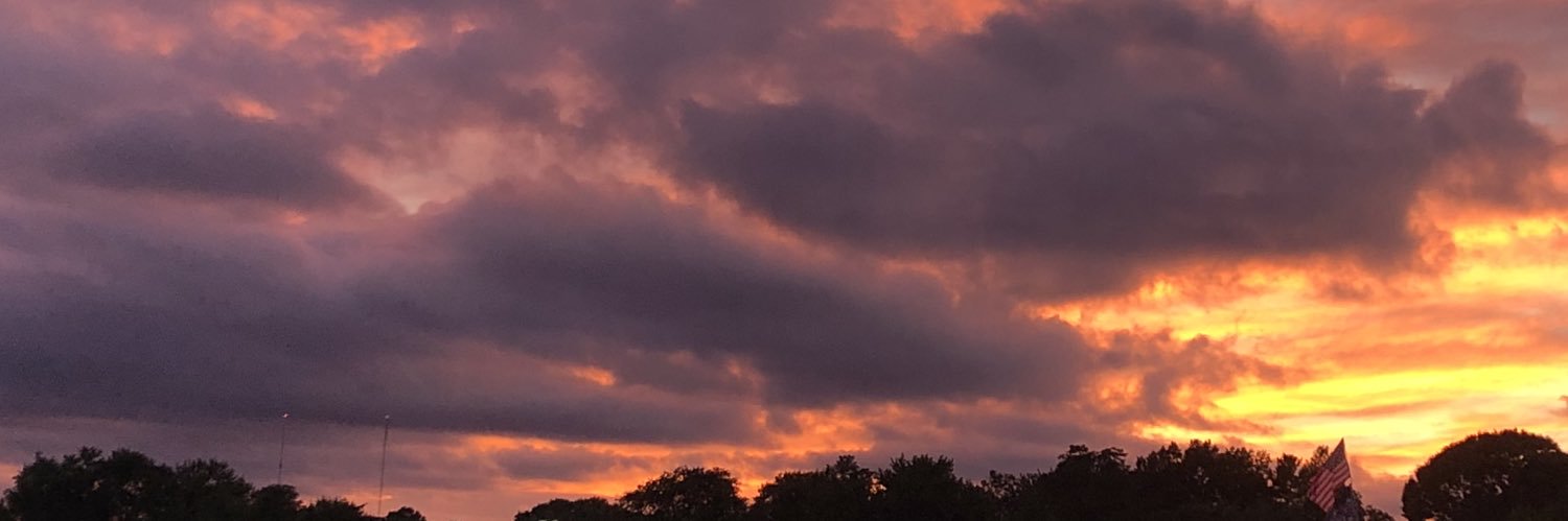 statssquirrel's profile banner image