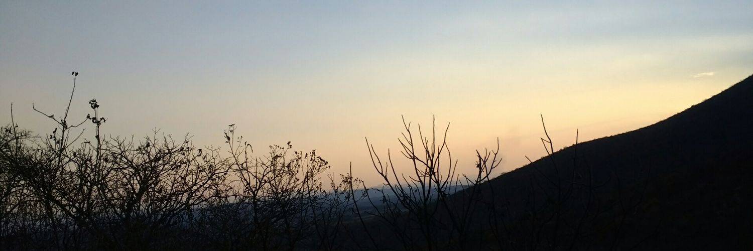 Lulaamon's profile banner image