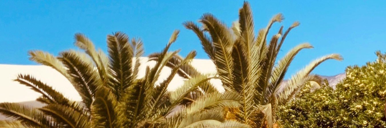 j3cali's profile banner image