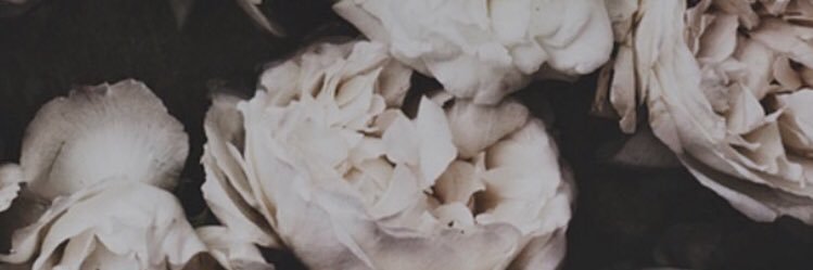 Kelli_Nicole07's profile banner image