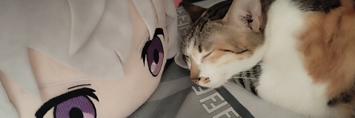 cryopie_'s profile banner image