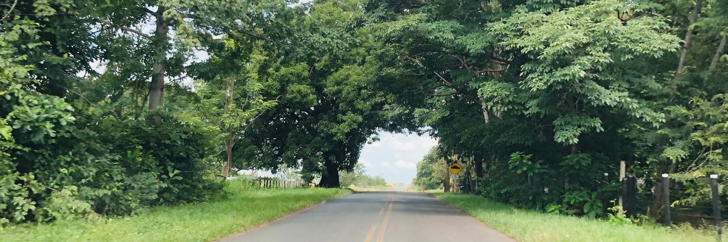 __marianemelo's profile banner image