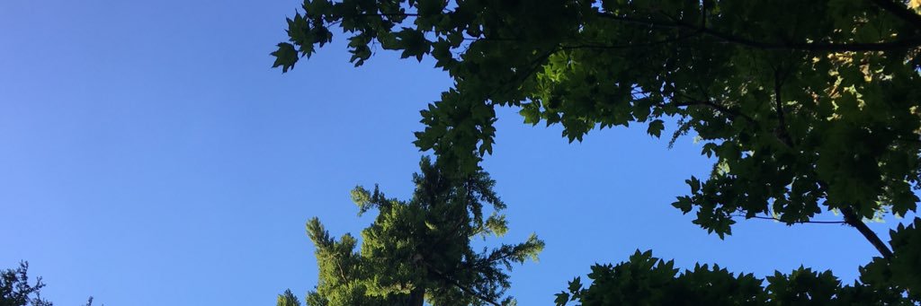 Maryef16's profile banner image