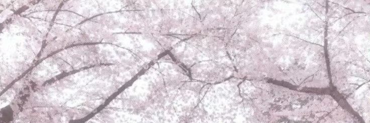 MASONY51977719's profile banner image