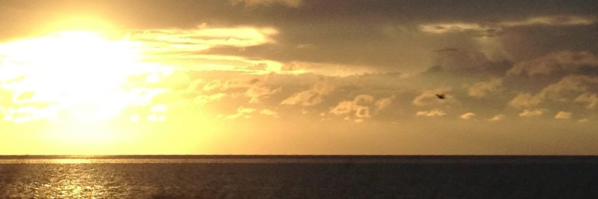 cbrech7's profile banner image