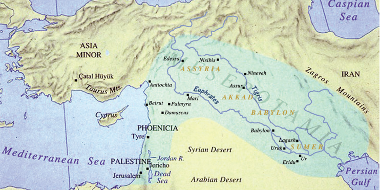 AgenforInternational 🇪🇺 banner