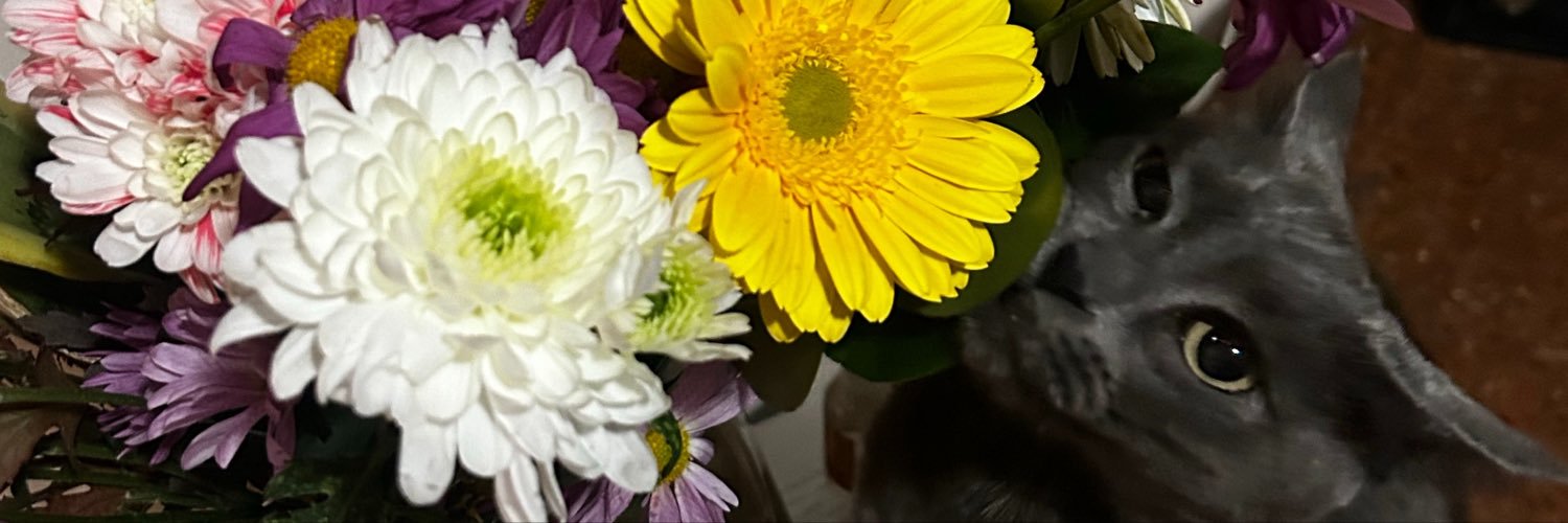 l3x4br's profile banner image