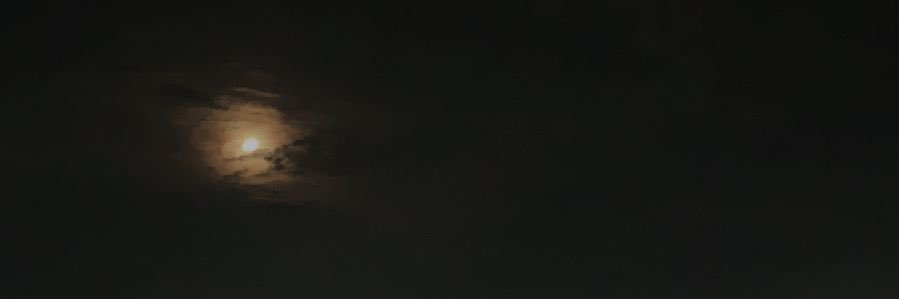 momo banner