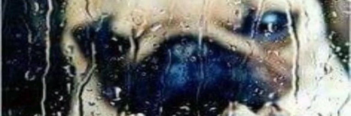 MORTIS banner