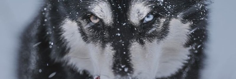 LenAbbie0420's profile banner image