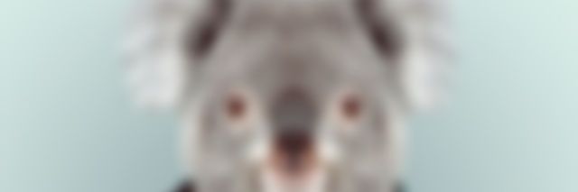 JuntaDeOlla's profile banner image