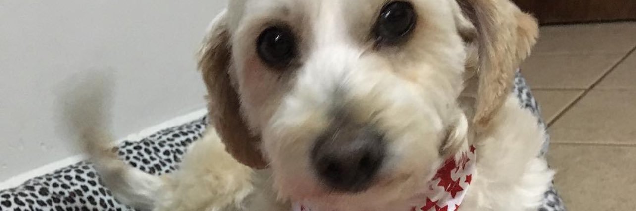 mexforever2000's profile banner image