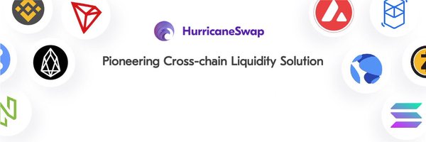 HurricaneSwap Profile Banner
