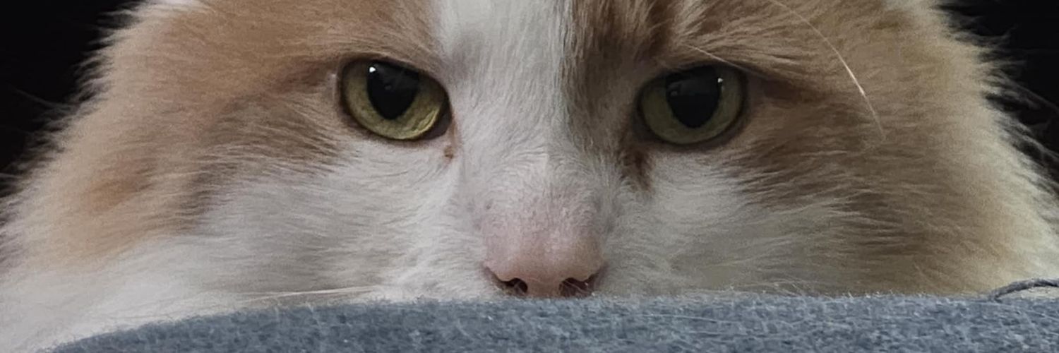 InstructorIke's profile banner image