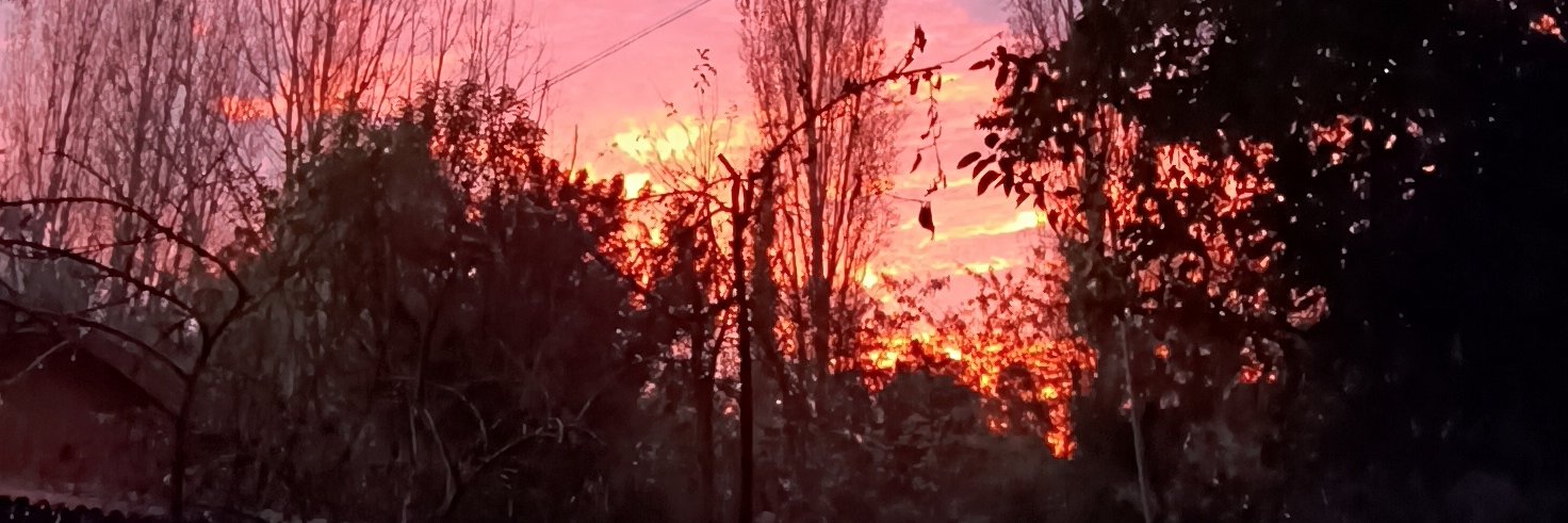 Alejandro Sandrock/ Paul Endre Saavedra banner