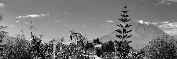 rengifo_j Profile Banner